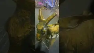 Приключения Яны Келлер