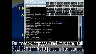 cat Command In UNIX