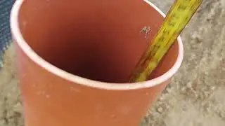 TEST KANALIZY 4 WYNIKI
