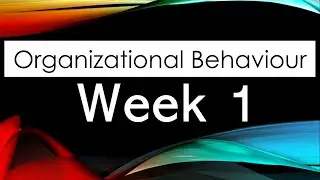 Organizational Behaviour Swayam Nptel week 1 Quiz (Assignment) Answers 2021