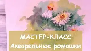 Мастер-класс акварельные ромашки