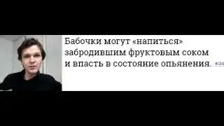 ТОЛЬКО ФАКТЫ #7 — Секс и Макдональдс (18+)