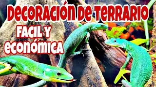 DECORACIÓN FACIL, RAPIDA Y ECONÓMICA de un TERRARIO para REPTILES! El increíble LAGARTO ESMERALDA!
