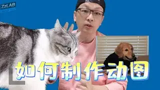 如何制作动图GIF文件 final cut pro教程 ZzLAB