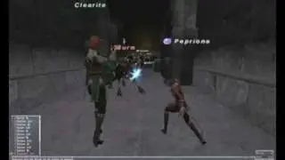 Final Fantasy XI - Artifact - Beastmaster - A New Dawn