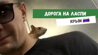 По дороге в Ласпи 😎 #video