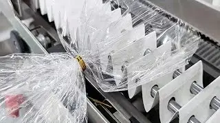 Bread bags tie machine semi automatic food pouch binding equipent