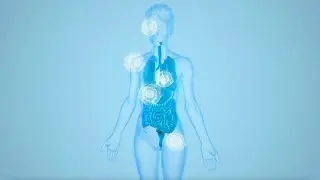La fisiopatologia della porfiria epatica acuta (AHP)