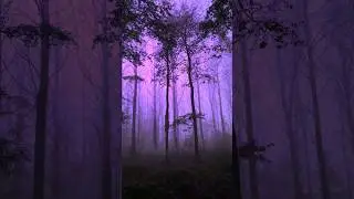 Purple Night (Horror Night) 😱 Colour Grading #capcut @RSTPiXELS #subscribe #tutorial #rstpixels