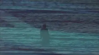 Languid - Water