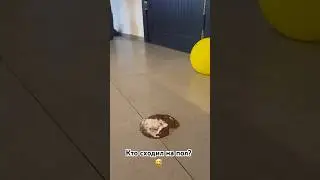 Посмеялись от души 