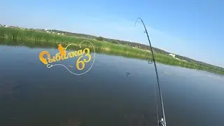 FOUND A POT OF PERCH AND THE FUN BEGAN. Fishing in August with a spinning rod