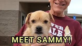 MEET SAMMY!