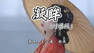 王心凌、张远 - 凝眸 (对唱版)《永夜星河》网络剧插曲『今生吻过你眉目，是我的救赎。』【4K无损|动态歌词 Lyrics】