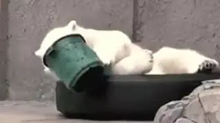 Клип про друзей