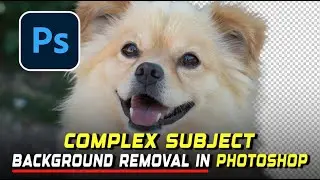 Best Way to Remove Complex Background in Photoshop (Quick Tutorial)