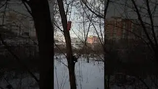 МР 53М Стрельба