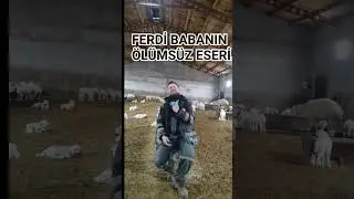 14 Mart 2024