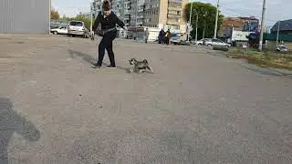28 сентября 2019 г.