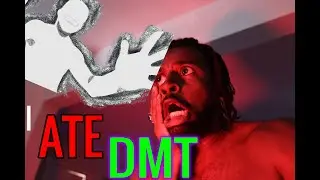 I ATE DMT and Spoke DIRECTLY To My Subconscious (Pharmahuasca Trip Report)