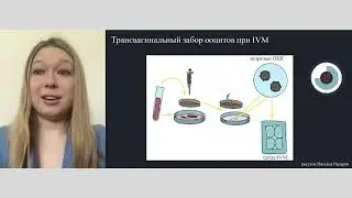 IVM в современной репродуктологии (Кириллова Анастасия Олеговна)