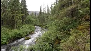 Ловозерские тундры.Сейдозеро. Стоянка пятая