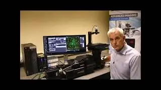 X-Light spinning disk confocal system