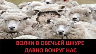 ВОЛКИ В ОВЕЧЬЕЙ ШКУРЕ