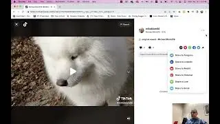 tiktok privacy