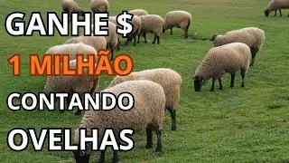 🐑💸 48 Horas Sem Dormir Contando Ovelhas… Pelo Prêmio de 1 Milhão!😵‍💫
