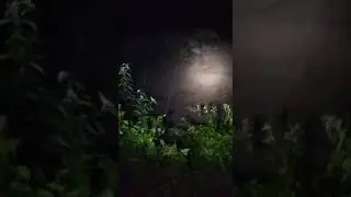 357302884 6438079079605790 1507876115817048631 n