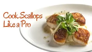 How to Cook Scallops | My Best Scallops Recipe