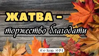 Жатва - торжество благодати | Дмитрий Овчаренко (08.10.23)