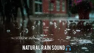 natural rain sound | part 2 |ROYALTY FREE | mind blowing sound 🌧️🎧 #healyourmind