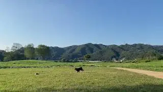 너에게 가는