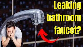 DIY: How to fix a leaky bathroom faucet (Moen/Stanadyne)
