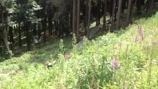 Braunlage - Wurmberg - Mountainbike