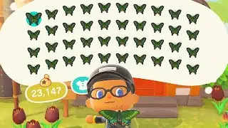 Animal Crossing New Horizons Selling Full Inventory of Peacock Butterfly
