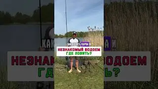 Где ловить карпа и сазана на незнакомом водоёме? 