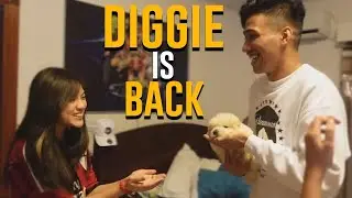 DIGGIE IS BACK