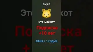 это мой кот