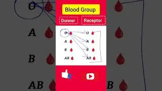 Blood Group Donner Recipient #shorts #englishgrammar #gk