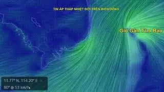 TIN BÃO GẦN BỜ (BÃO BOLAVEN - CƠN BÃO SỐ 01 NĂM 2018)