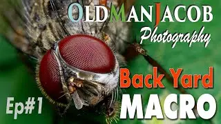 Back Yard Macro Photography With Old Man Jacob