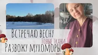 Деревенская весна, мои мухоморы и новые ткани.