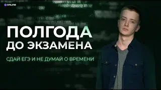 ПОЛГОДА ДО ЭКЗАМЕНА. Как готовиться? | 99 БАЛЛОВ | ПРОФИЛЬНАЯ МАТЕМАТИКА