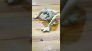 I sculpted my frog drawing