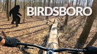 MTB at Birdsboro Preserve, PA - Ramble On, Pirate Jet, Good Day Sunshine & More