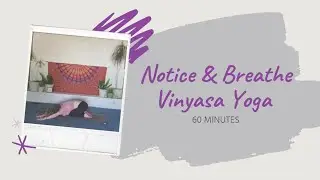 Notice & Breathe | 60 minute Vinyasa Yoga Practice