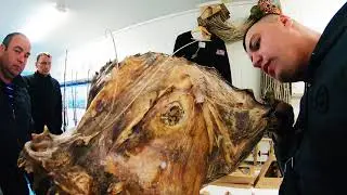 МОРСКАЯ РЫБАЛКА В НОРВЕГИИ